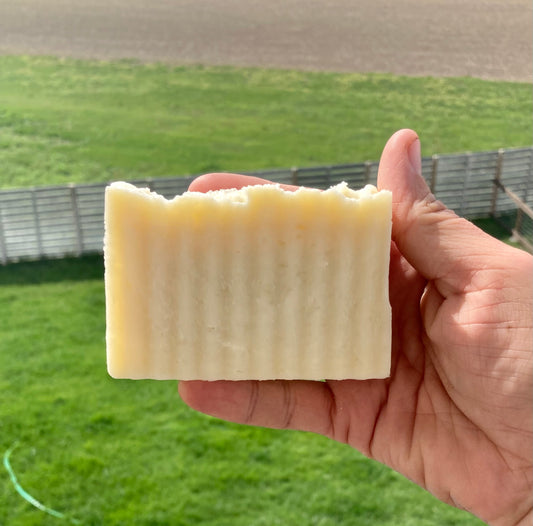 Tallow Soap